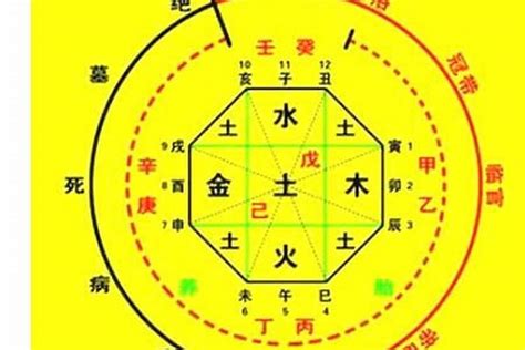 喜神是水|八字入门基础 第六篇 如何判断八字喜用神